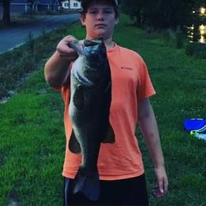 Meet your Posher, Dylan